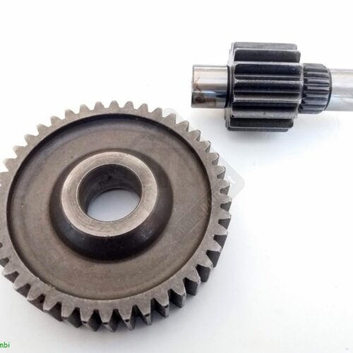 Coppia ingranaggi trasmissione passo lungo