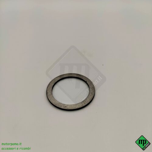 RASAM. PIGNONE 2,03 mm.