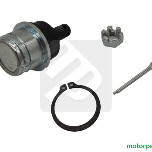 Ball Joint inferiore e superiore Can-am G1 EPI