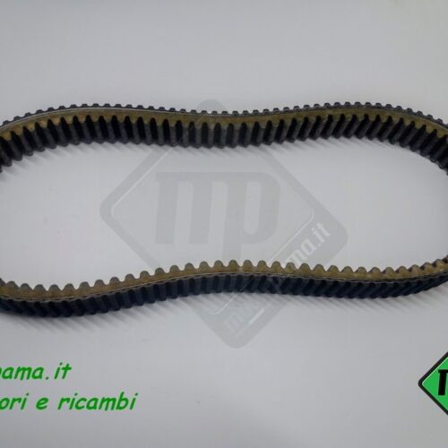 Cinghia trasmissione motoslitta Ski-doo