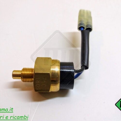 Bulbo temperatura radiatore Quad Atv Utv Aeon