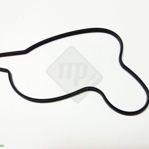 Guarnizione pompa acqua Beta Enduro