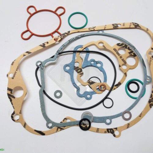 Serie guarnizione motore