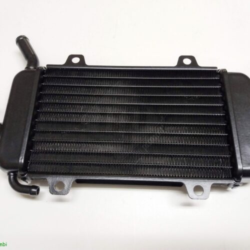 Radiatore piaggio Quartz