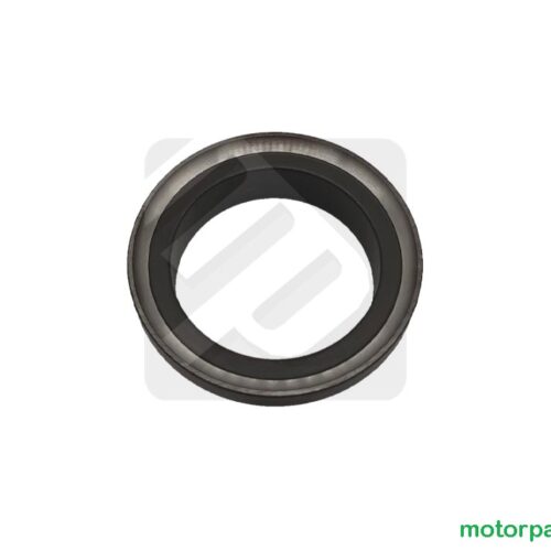 Revisione forcella Scooter