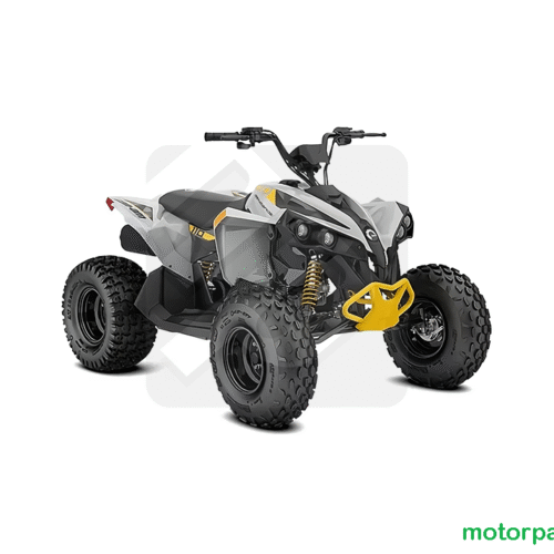 2025 Can-am Renegade EFI 110