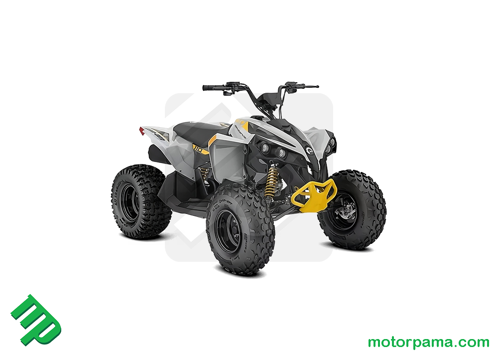 2025 Can-am Renegade EFI 110