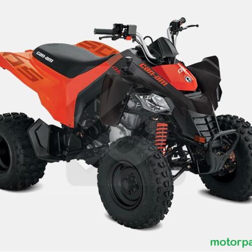 2024 Can-am DS 250