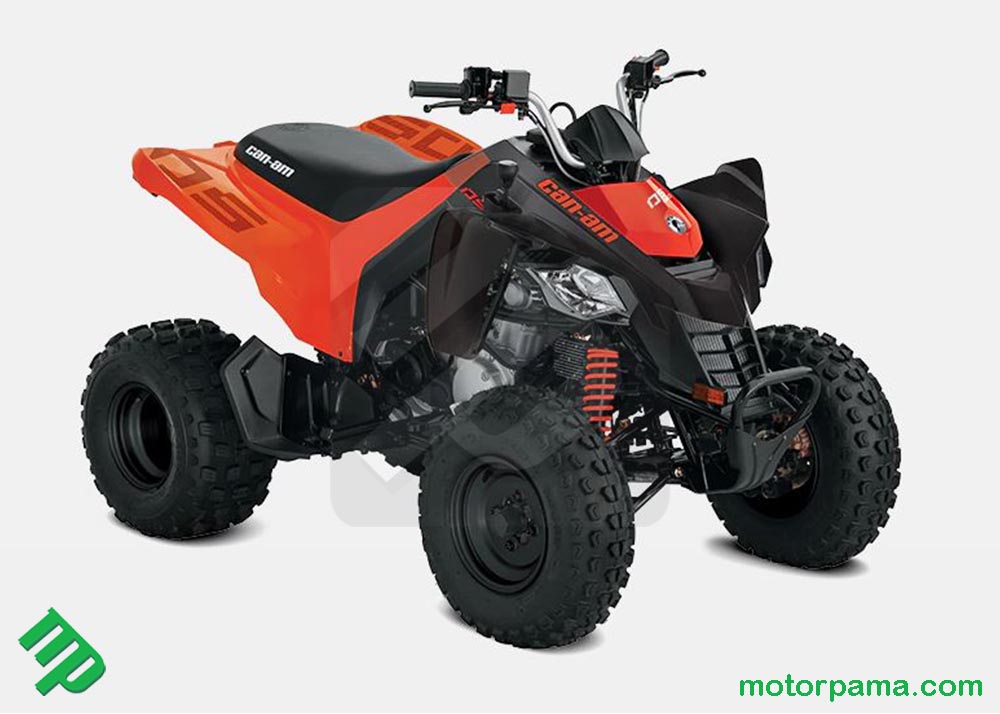 2024 Can-am DS 250