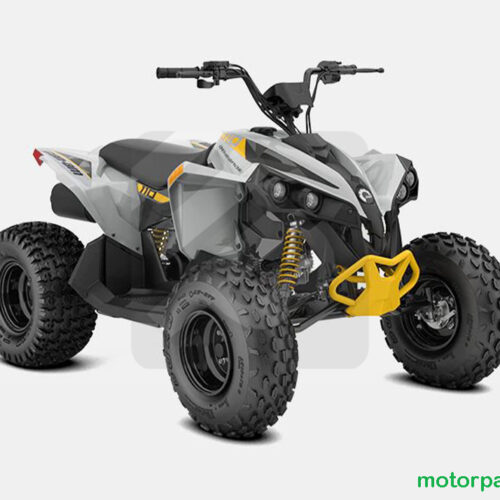 2024 Can-am RENEGADE 110 EFI