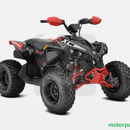 2024 Can-am RENEGADE X XC 110