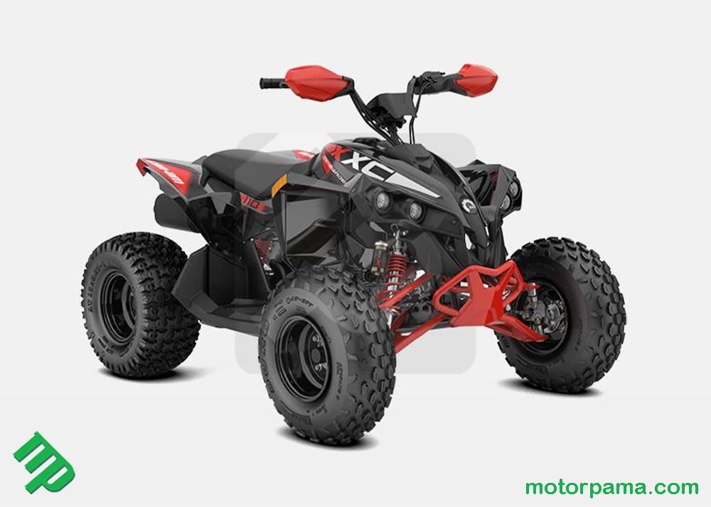 2024 Can-am RENEGADE X XC 110