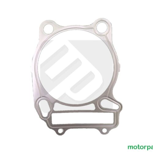 Guarnizione cilindro originale Arctic Cat