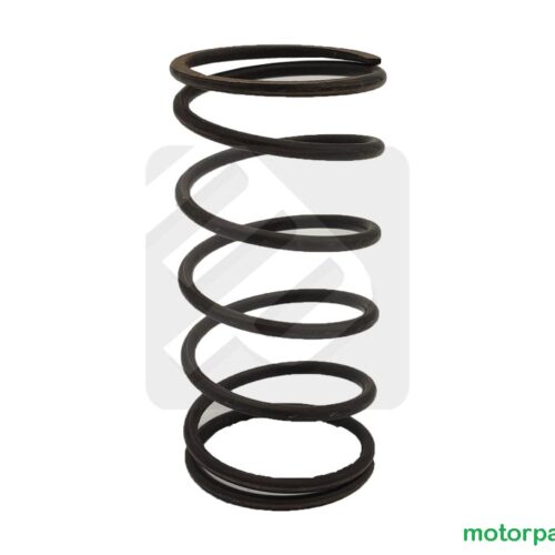 Molla di contrasto Polini evolution per Minarelli