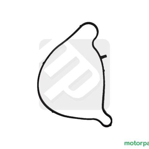 Guarnizione pompa acqua originale CF Moto 1000