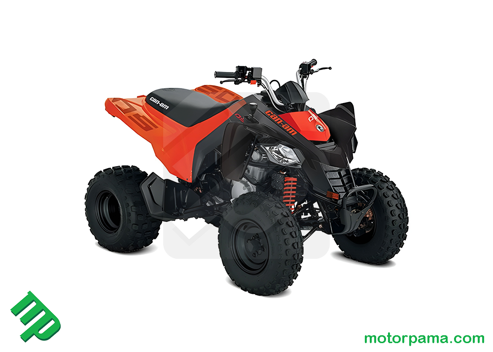 2025 Can-am DS STD 250