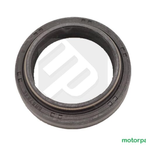 Revisione forcella Moto