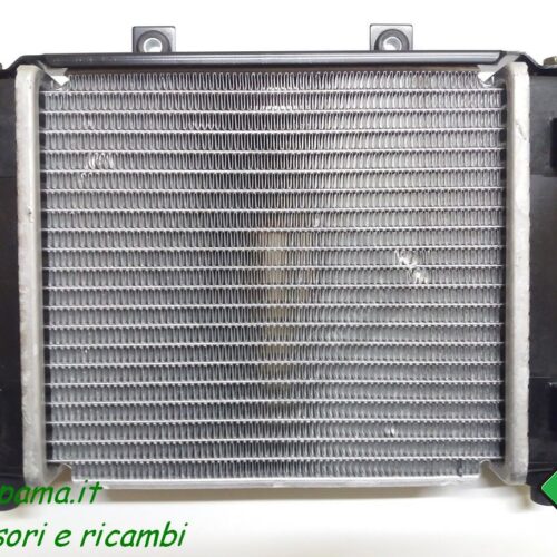 Radiatore gamma Quad Atv Access 250/300/400