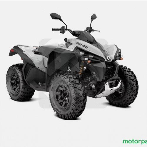 2024 Can-am RENEGADE 650 T