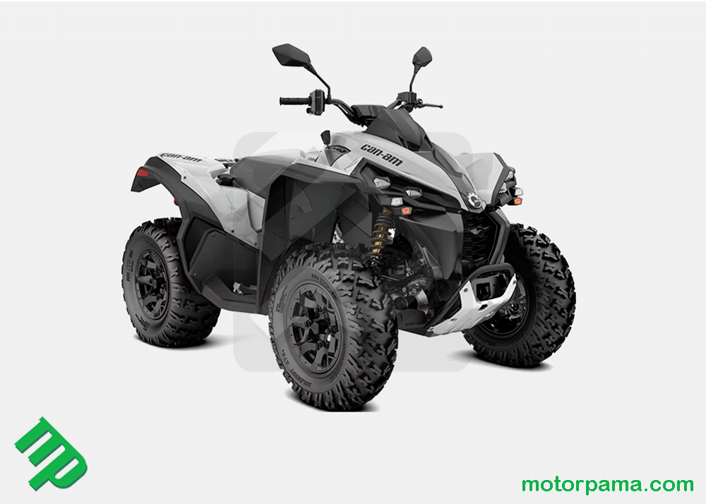 2024 Can-am RENEGADE 650 T