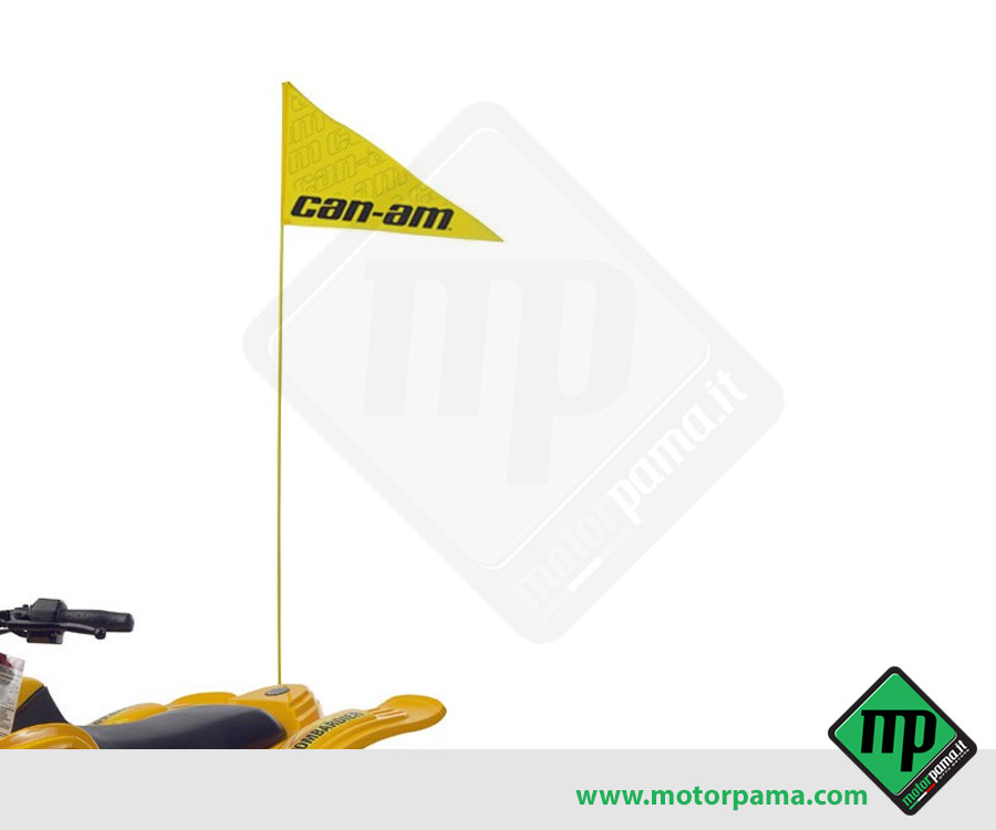 Bandierina Can am - immagine 2