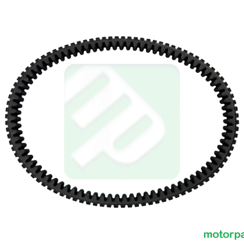 Cinghia originale Aeon