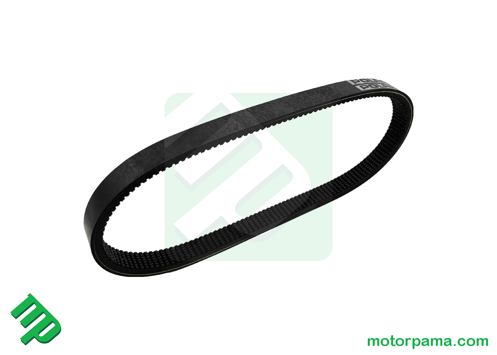 Cinghia di trasmissione originale Polaris - immagine 3