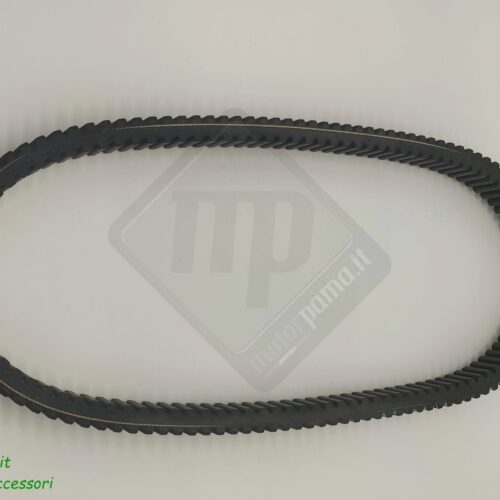 Cinghia trasmissione Ultimax Carlisle Pro per motoslitta Widetrak