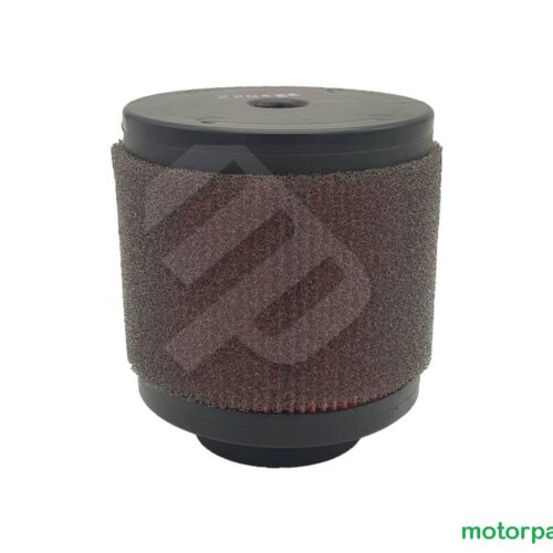 Filtro aria Aeon Cobra 350