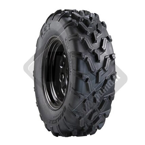 Gomma A.C.T. (All conditions tire)