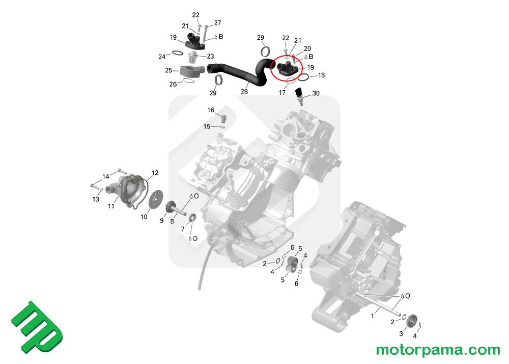 Raccordo liquido originale Can-am - immagine 6