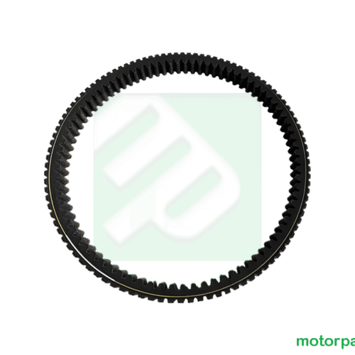 cinghia aodes 21040303802 (2).jpg