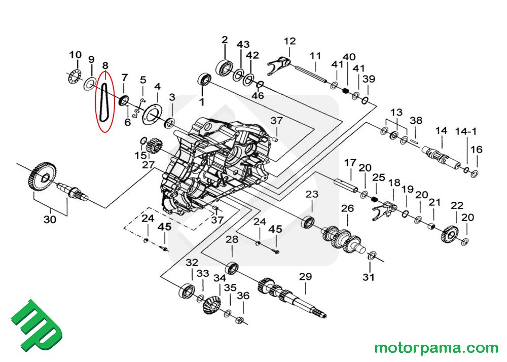 Catena pompa acqua originale quad TGB Target / Blade - immagine 3